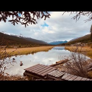 Meet your Posher, Bailey